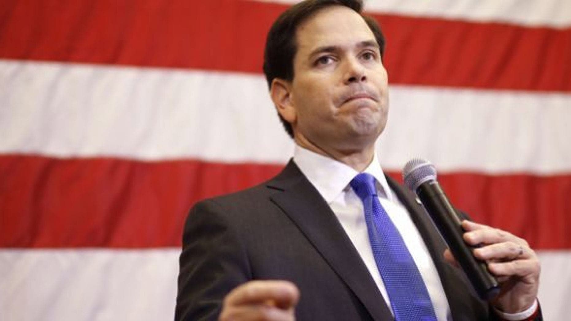 Marco Rubio's 2024 Election Betting Odds - The Sports Geek