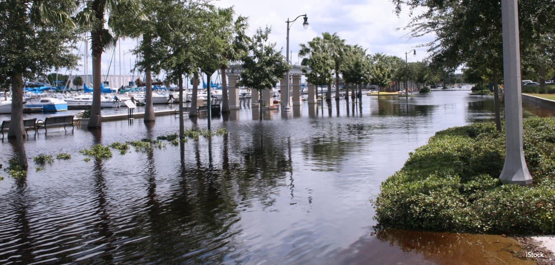 florida-sea-rise-level