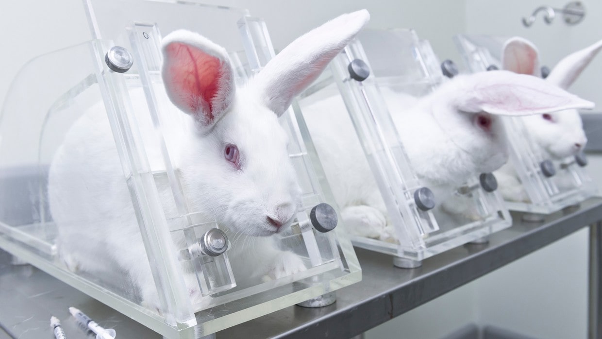 Vern Buchanan seeks ban on animal testing for cosmetics