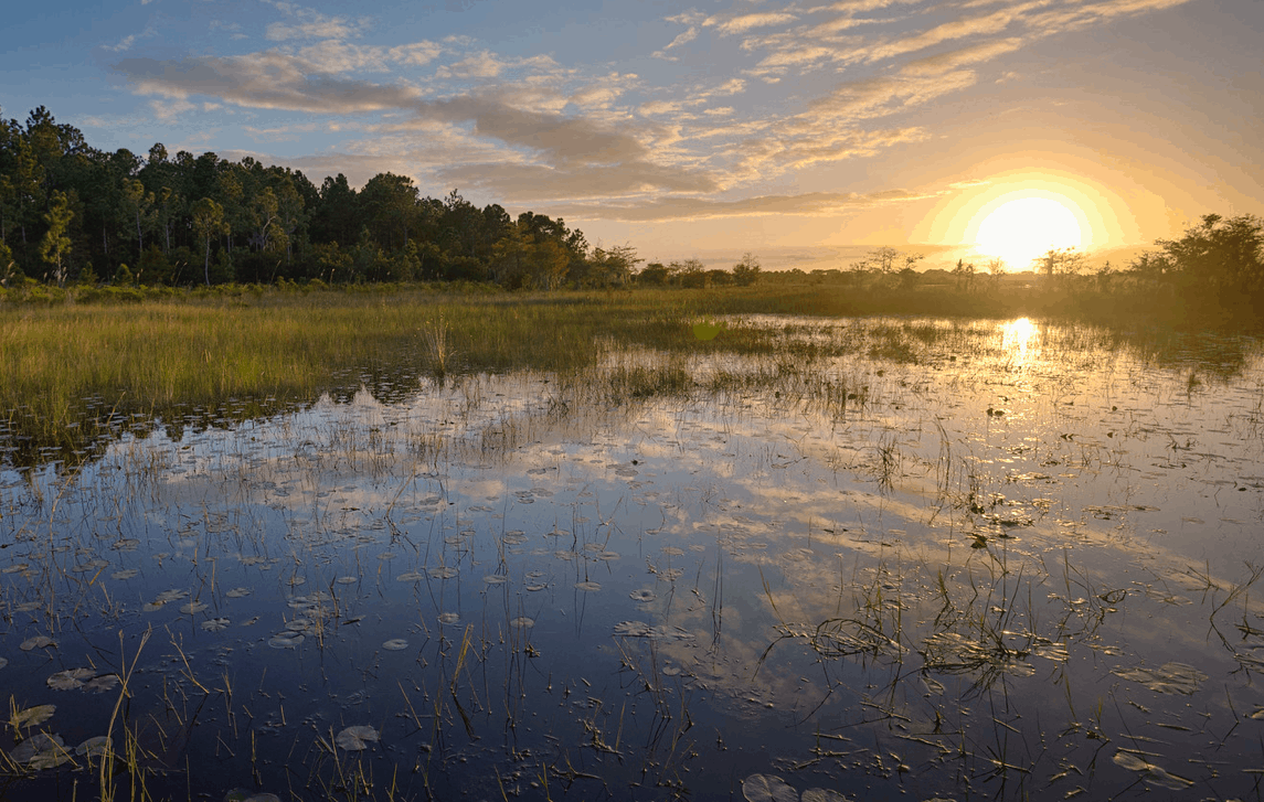 Orange Co. proposal would lock down Split Oak Forest preserve