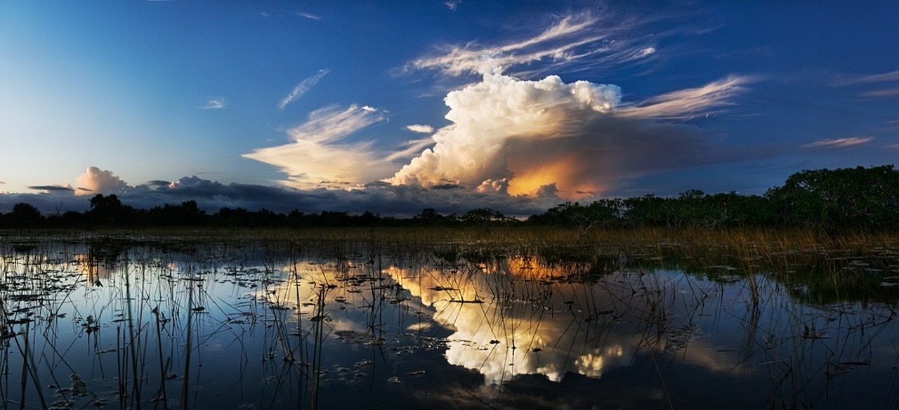 Southwest Florida