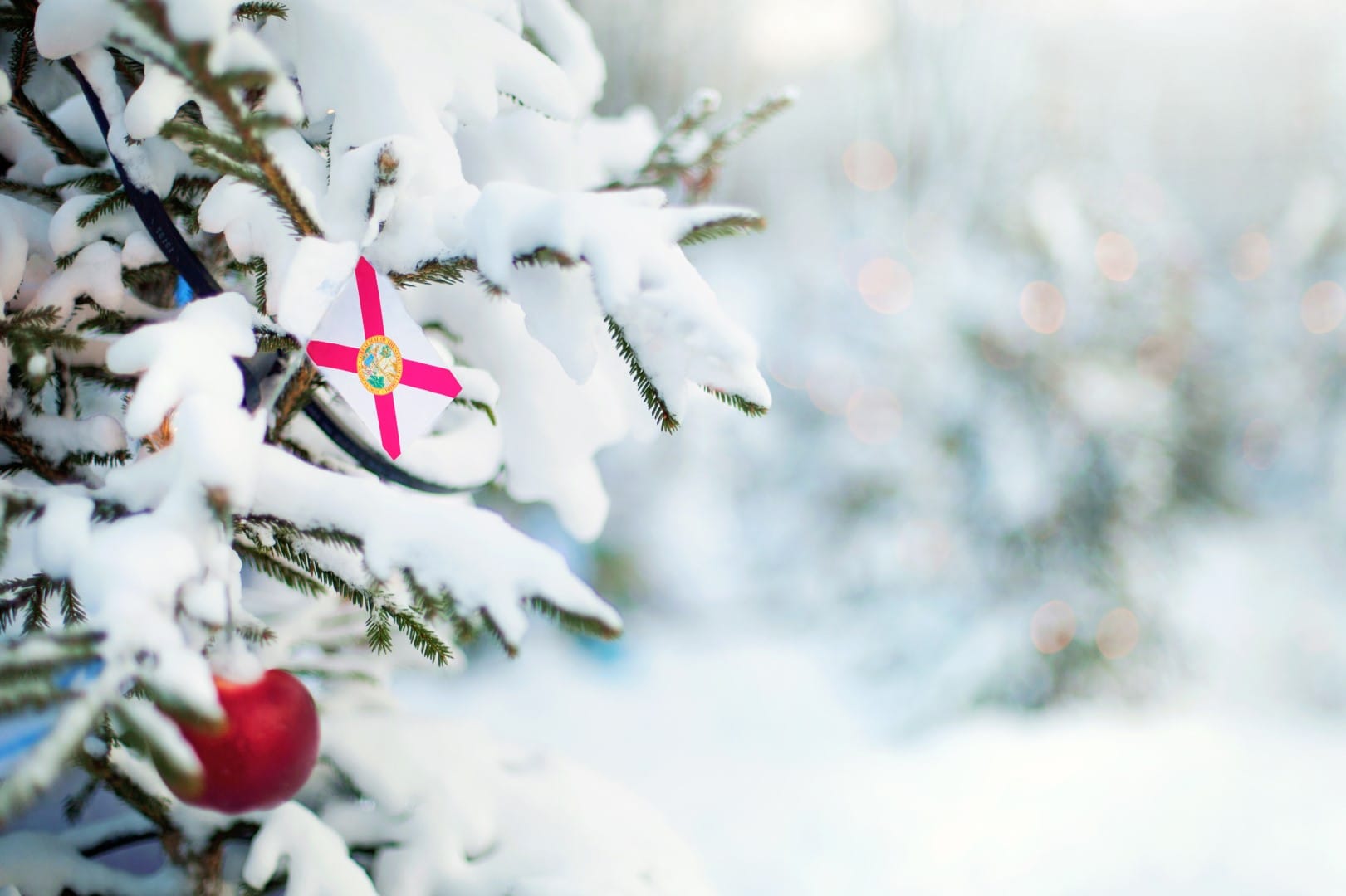 Florida flag. Christmas tree branch with a flag of Florida state. Xmas holidays greetings card. Winter landscape outdoors.