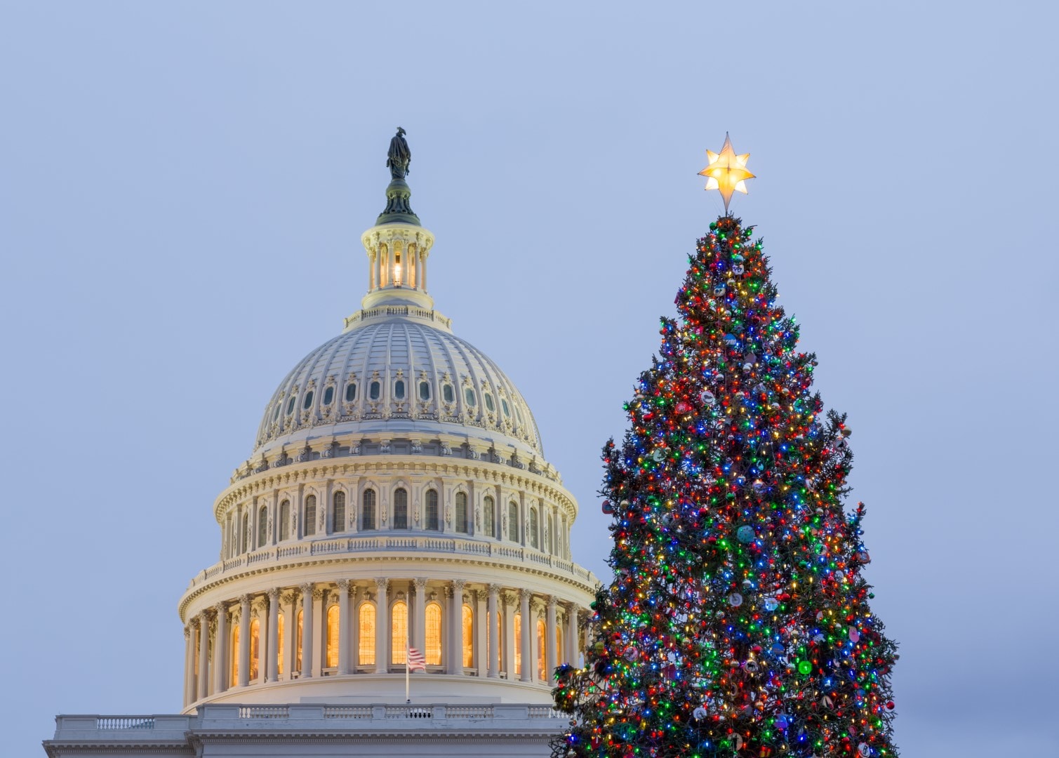 Christmas tree in front of Capitol Washington DC