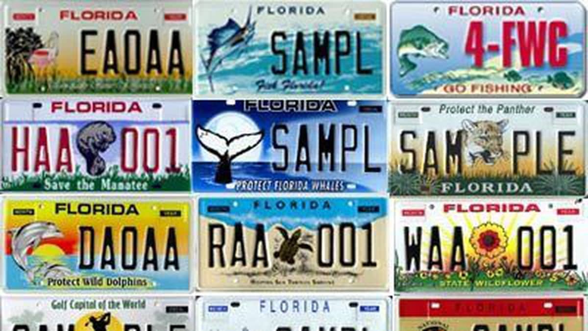 Special on sale license plates