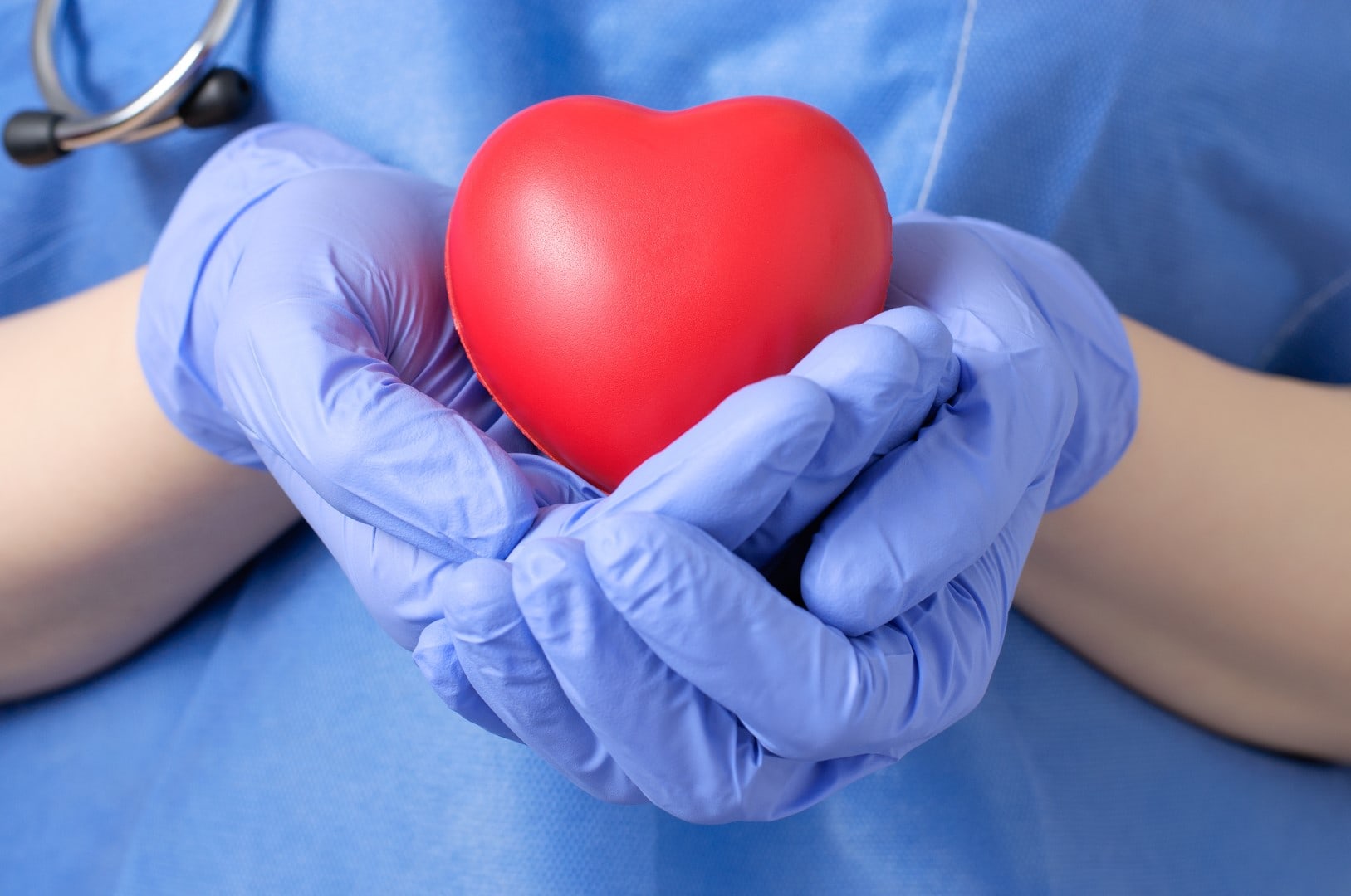 Doctor holding a heart