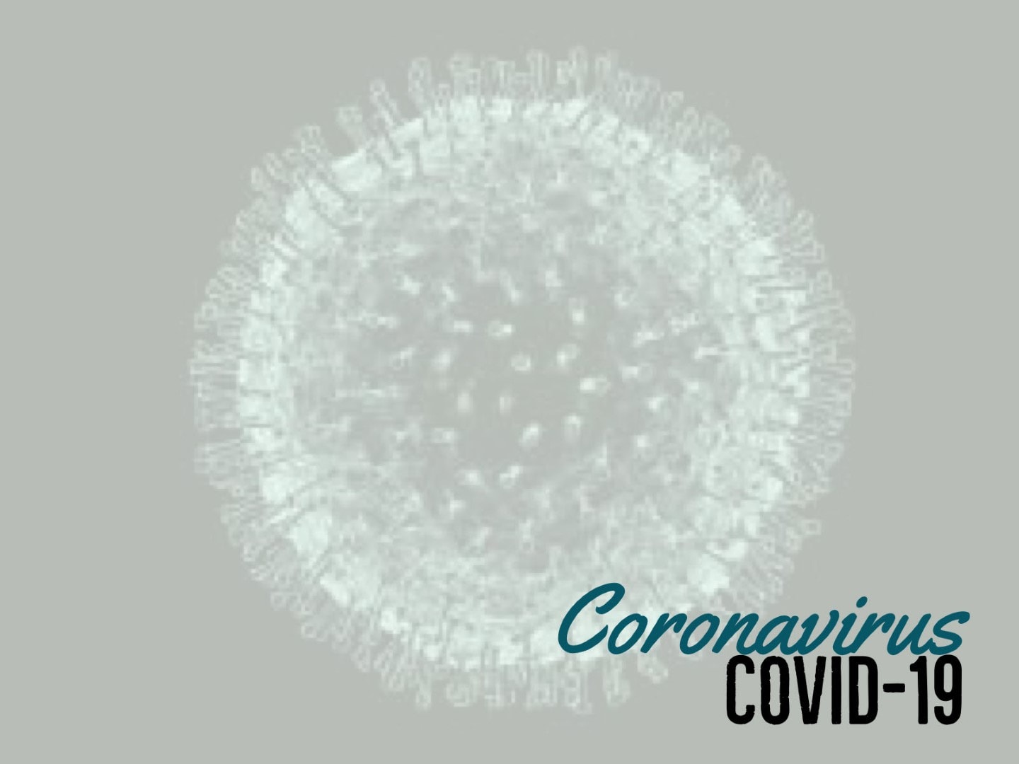coronavirus florida 18