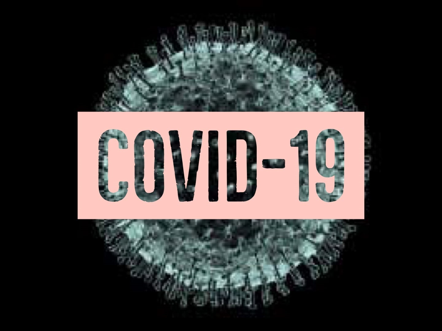 coronavirus florida 22