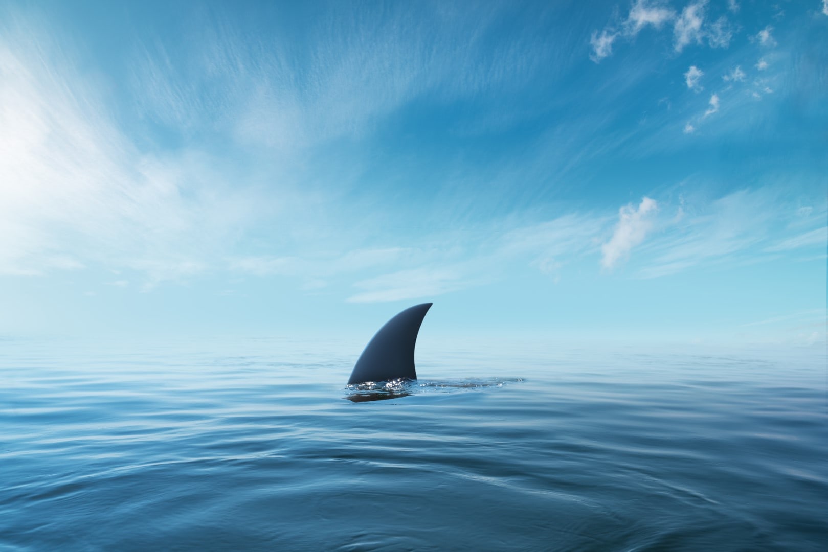 shark fin on surface of ocean agains blue cloudy sky