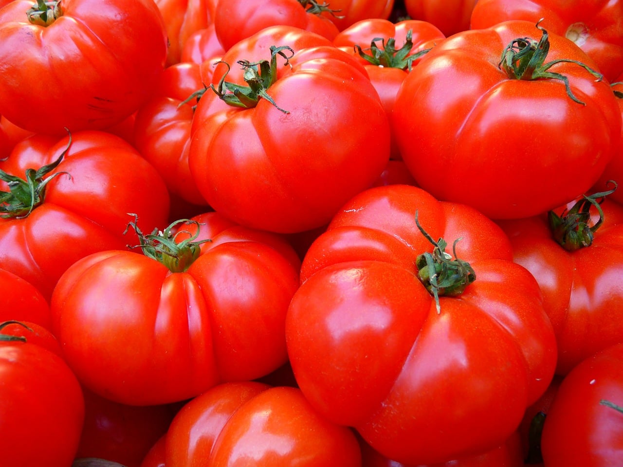 tomatoes-5356_1280.jpg