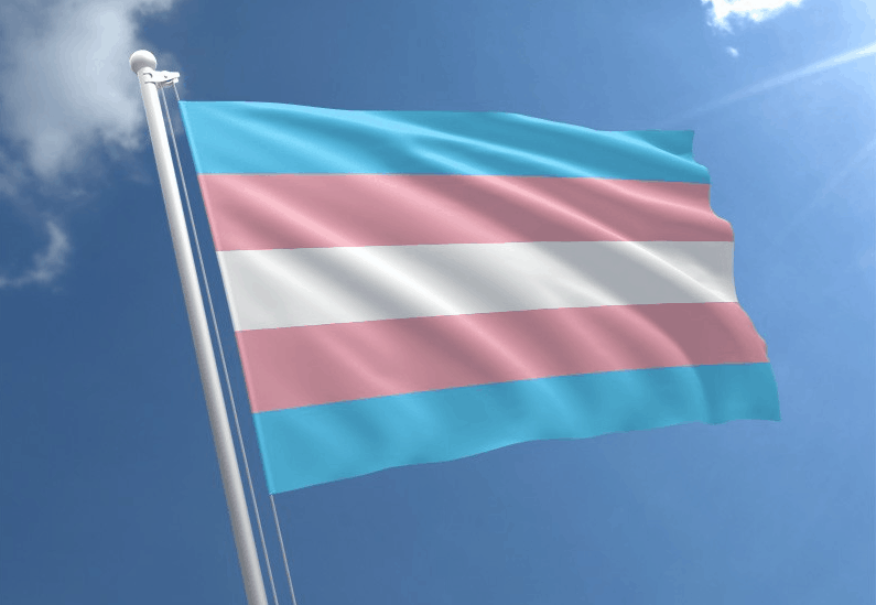 trans flag horizontal