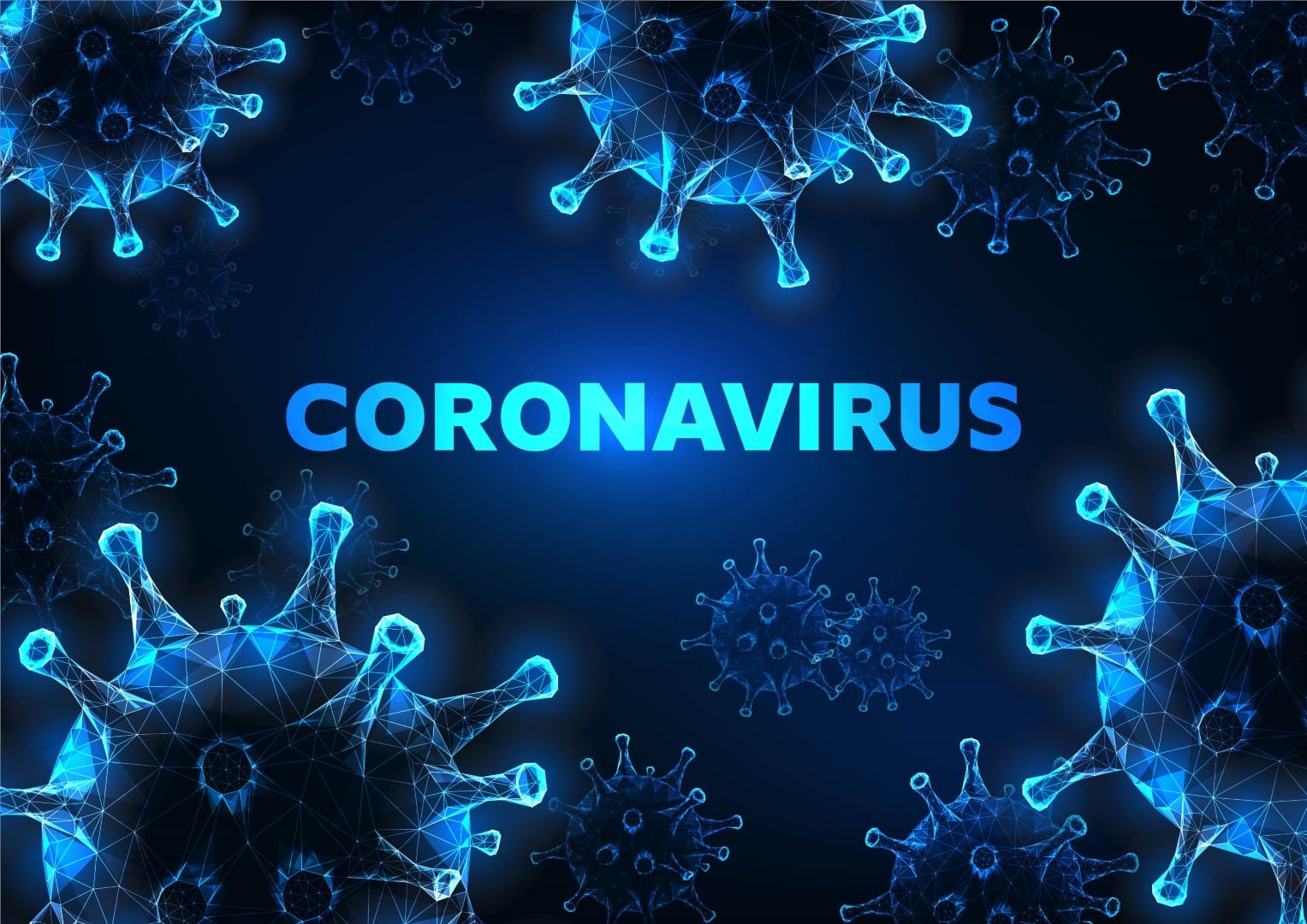 coronavirus florida 15