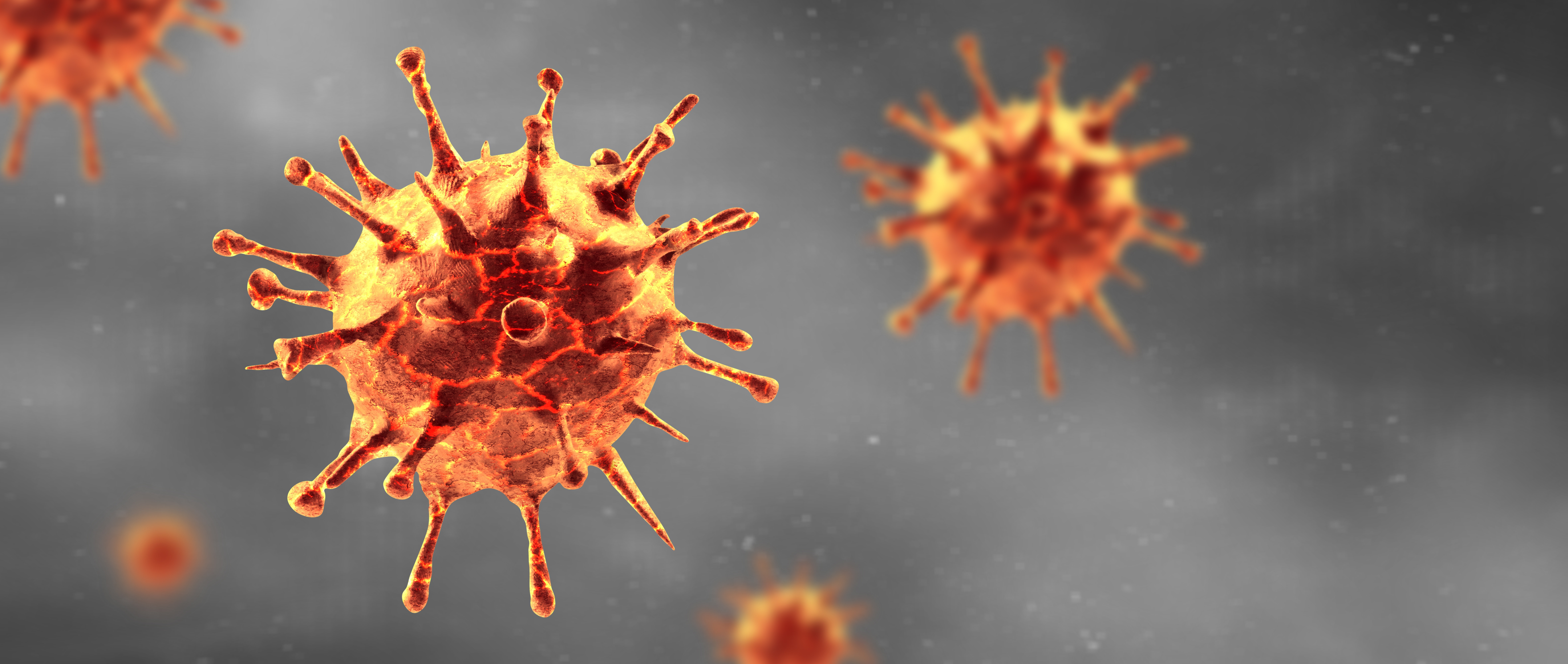 coronavirus-cellular.jpeg