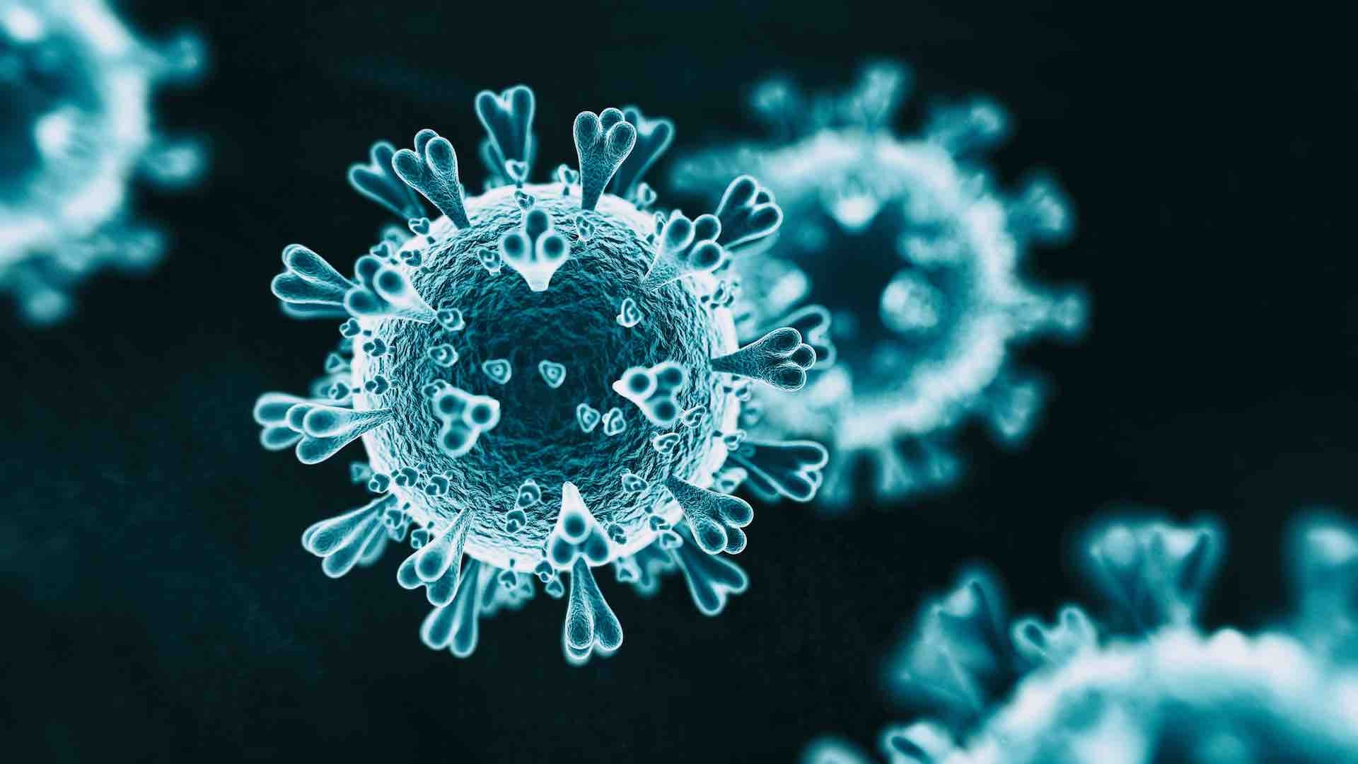 coronavirus2.jpg