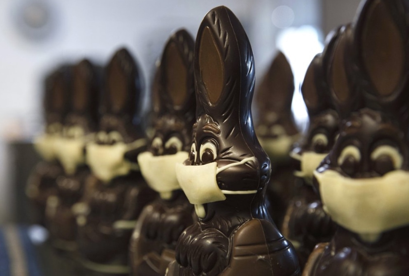 Chocolate bunnies