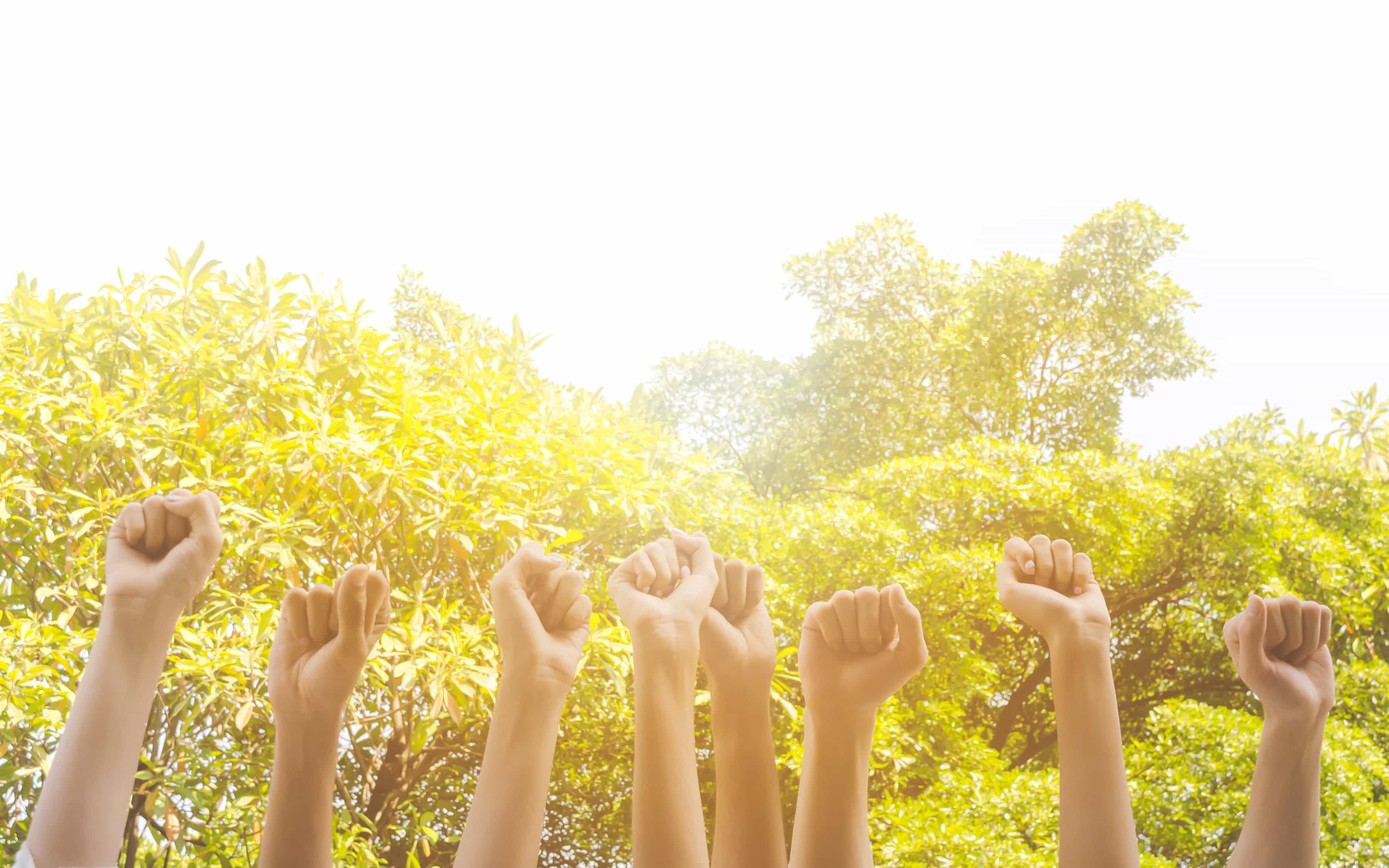 Group of hand raise up many people community service, International volunteer day and human rights day concept