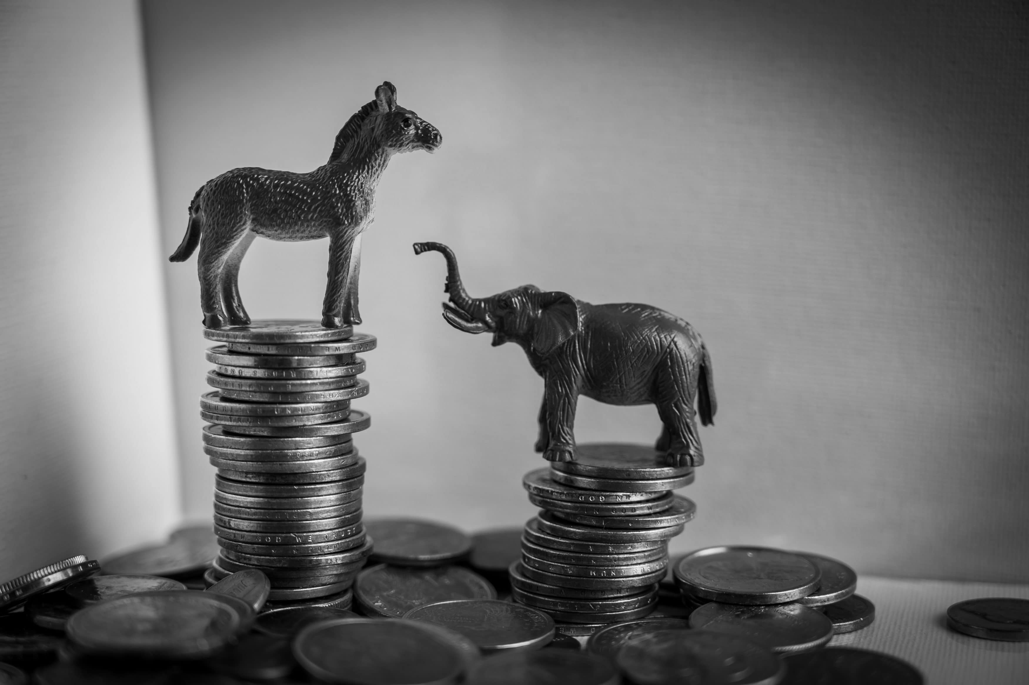 Elephant and donkey on top of stacked coins