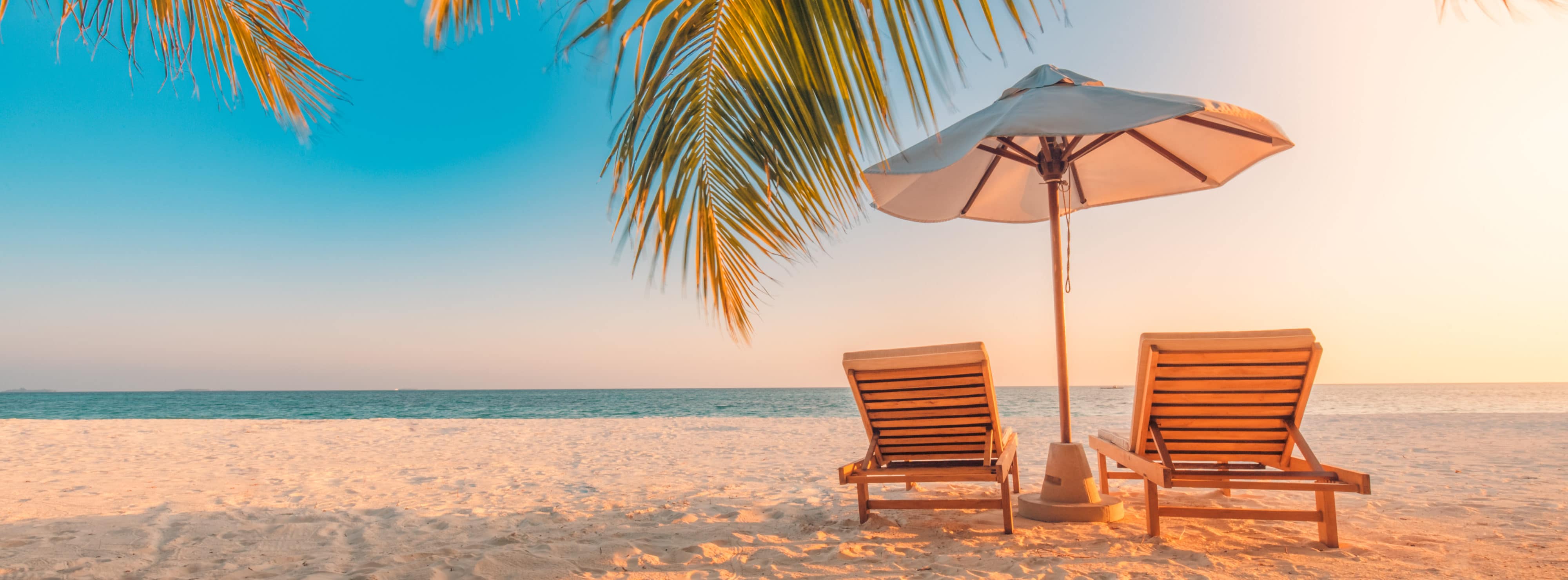 Beautiful tropical beach banner. White sand and coco palms travel tourism wide panorama background concept. Amazing beach landscape