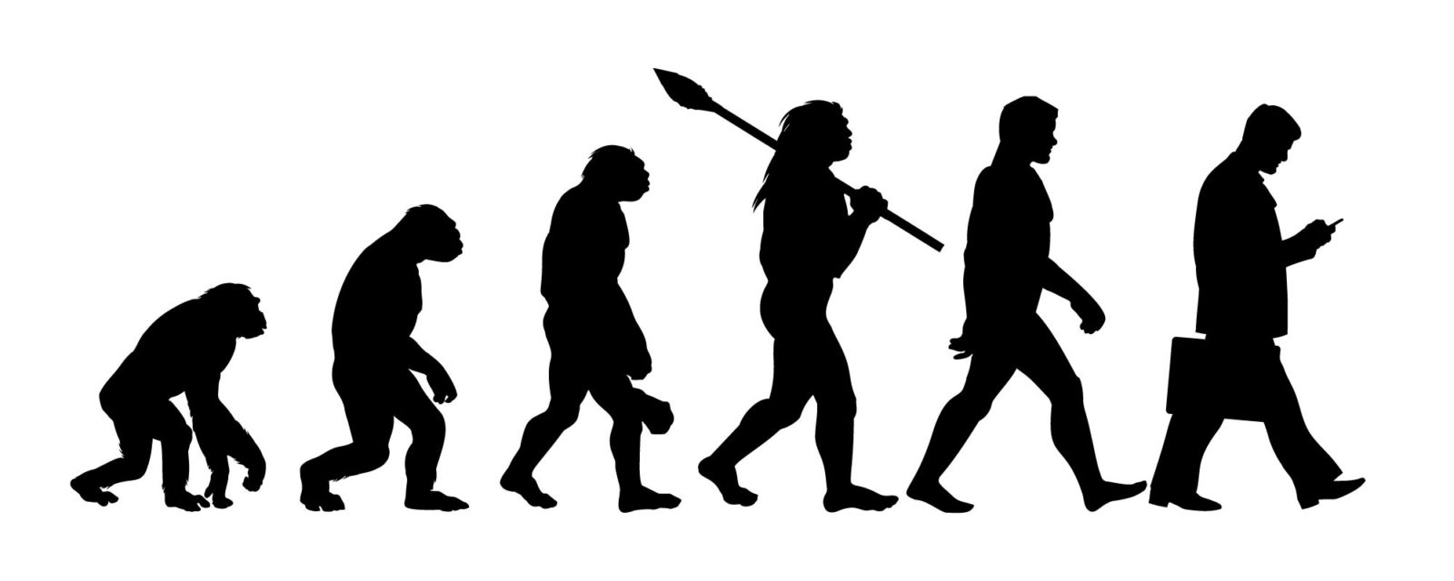 evolution-Converted-e1592424718980.jpg