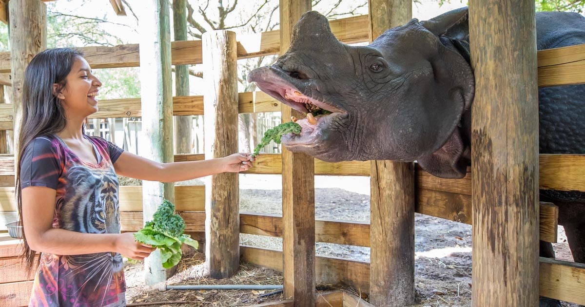 feed-rhino-zootampa-social