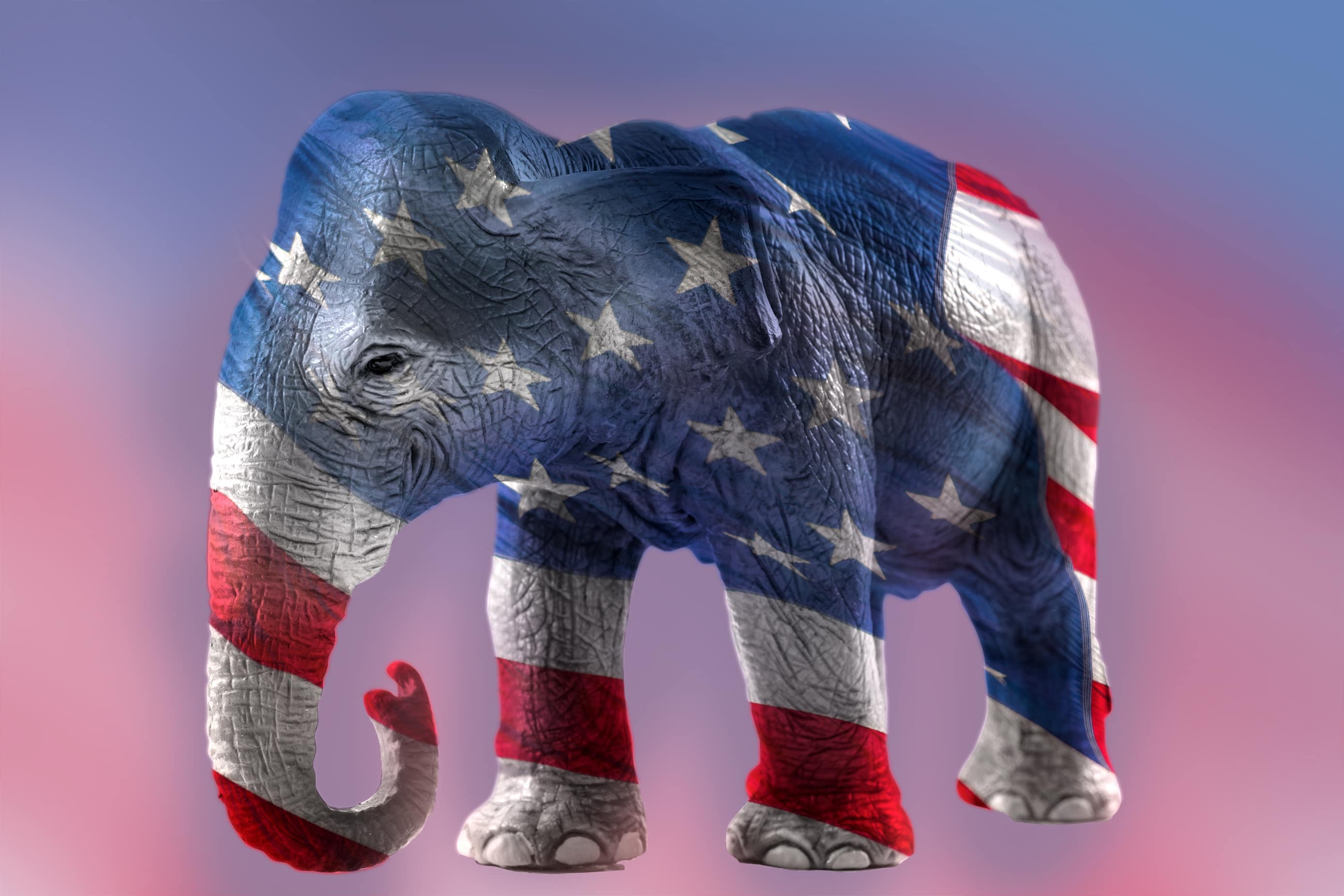 Double exposure image of the Republican elephant and the american flag. In the USA politics the elephant is the symbol of the republicans, the party that represents conservative views