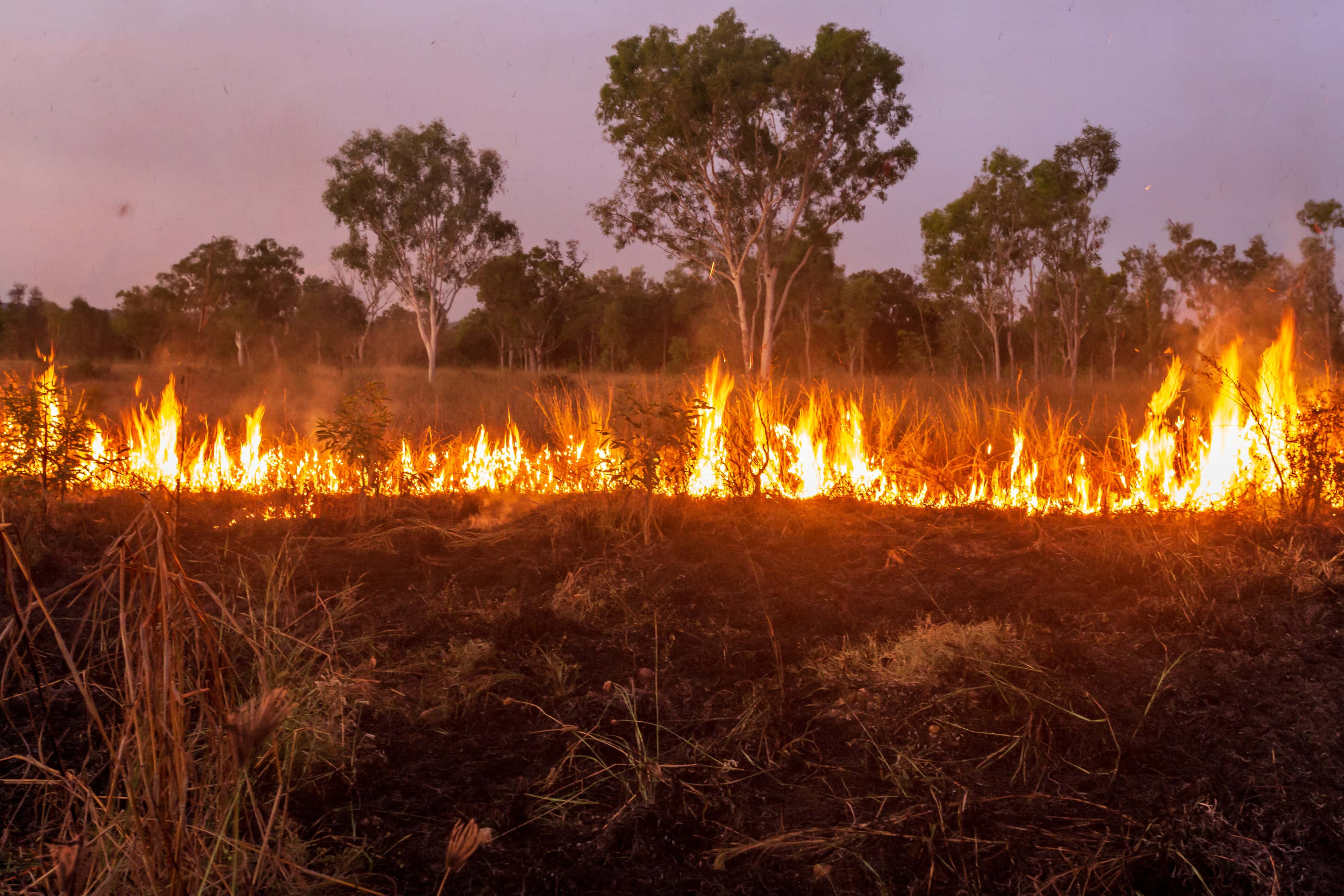 controlled burn