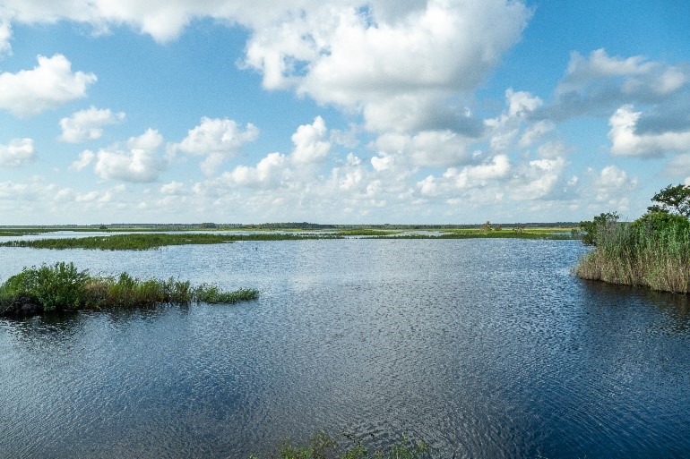 St Johns River Water Management District