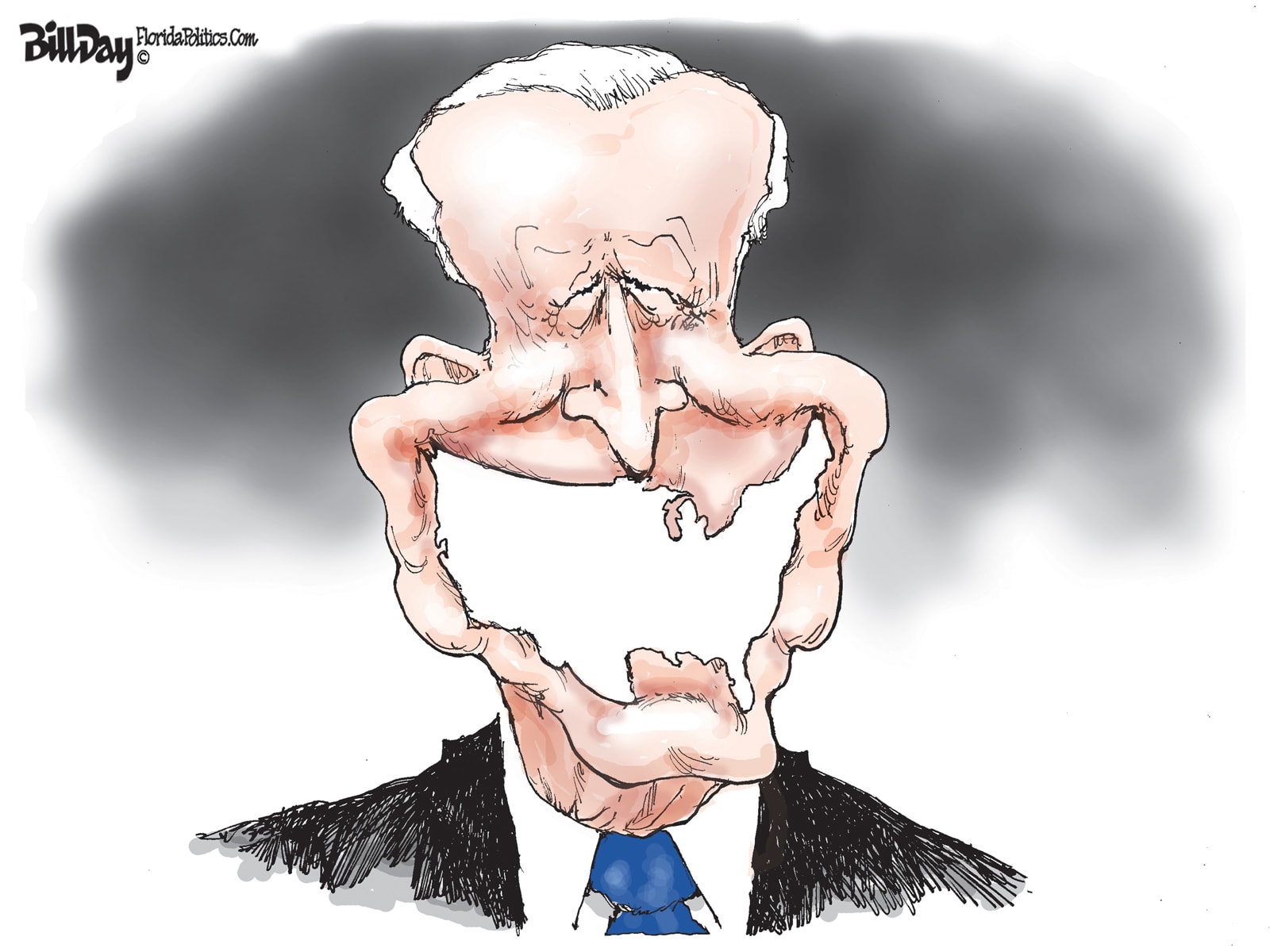 Joe Biden - Bill Day illustration