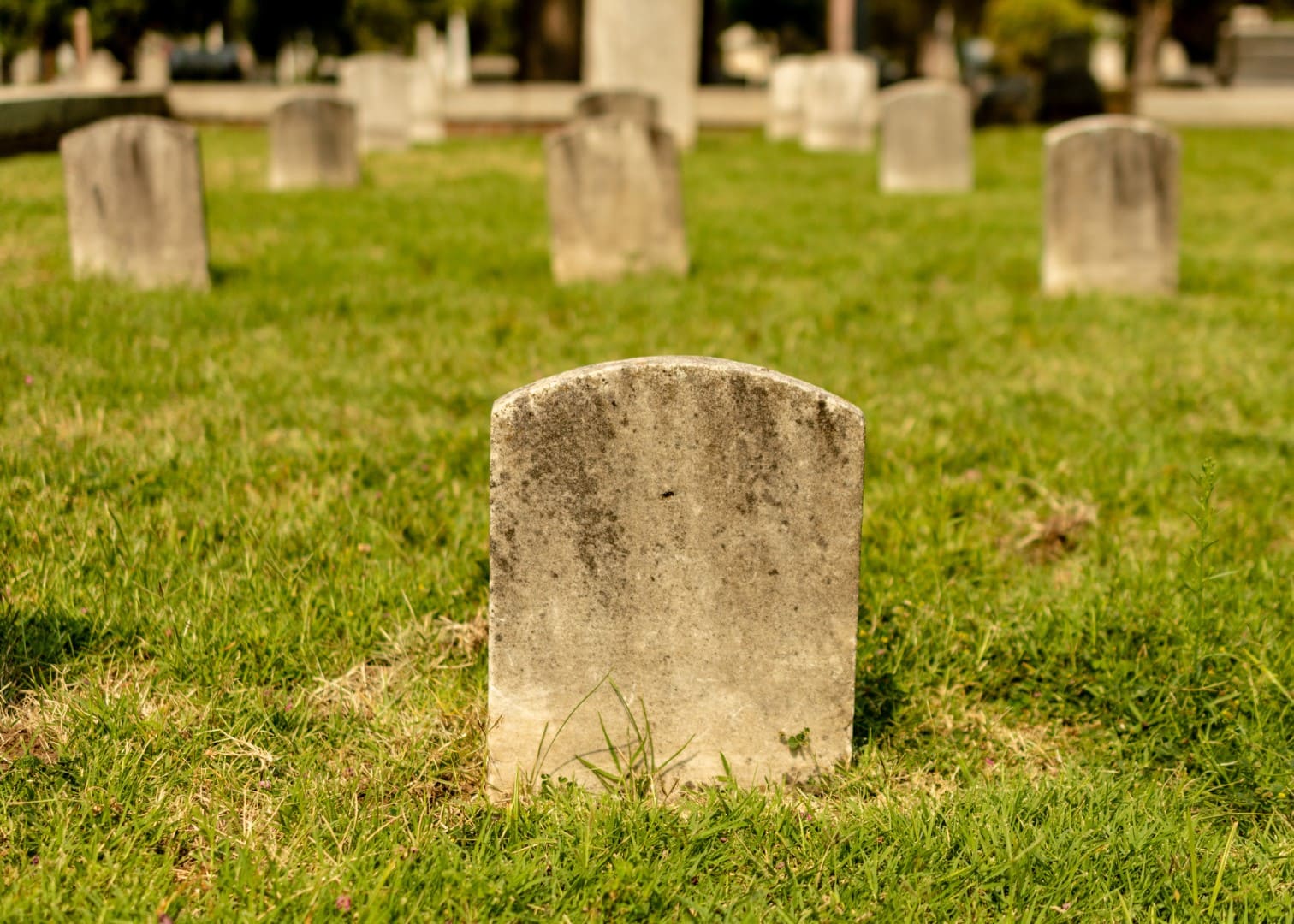 Graveyards in cemetery Halloween composition day light