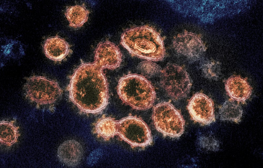 coronavirus-COVID-19-South-Africa.jpeg