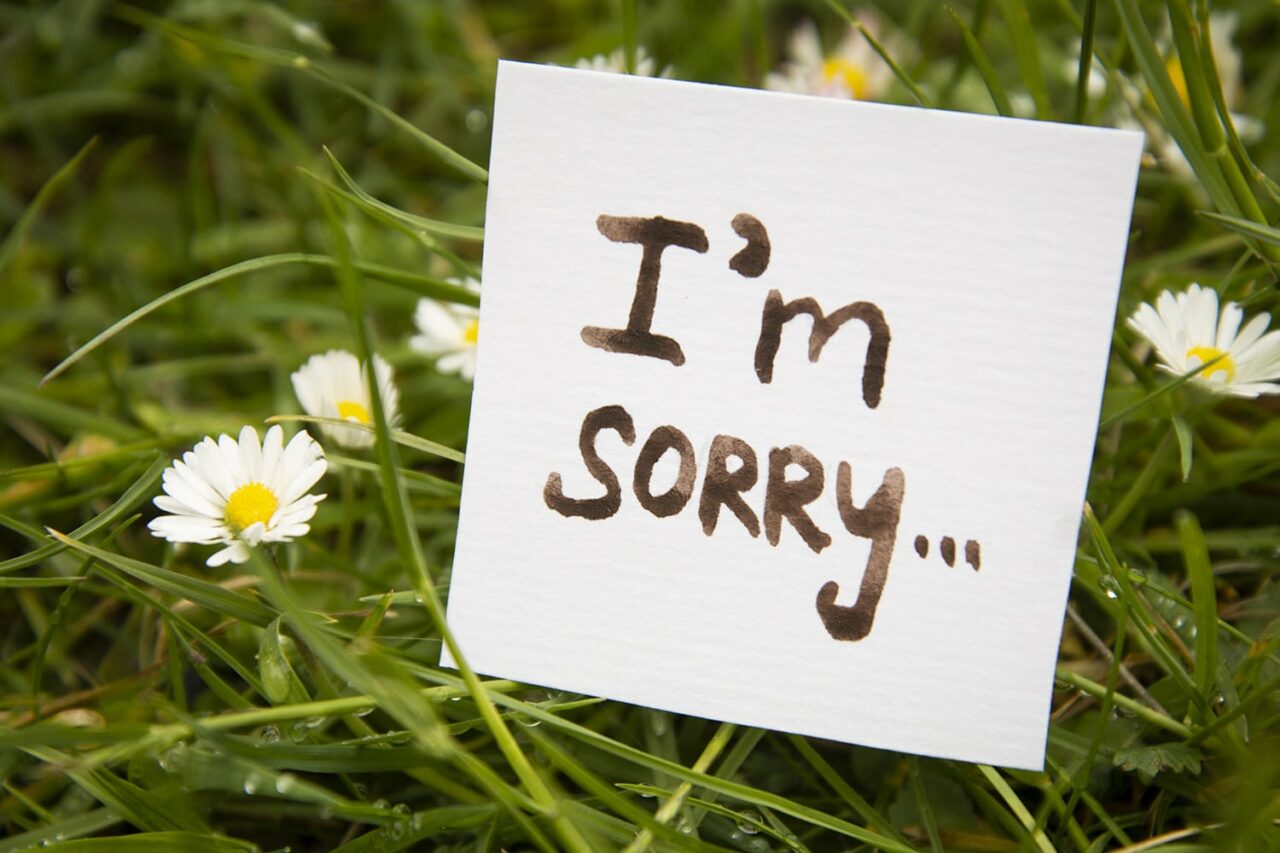 Sorry. Sticker with I'm sorry inscription. Mini chalckboard.