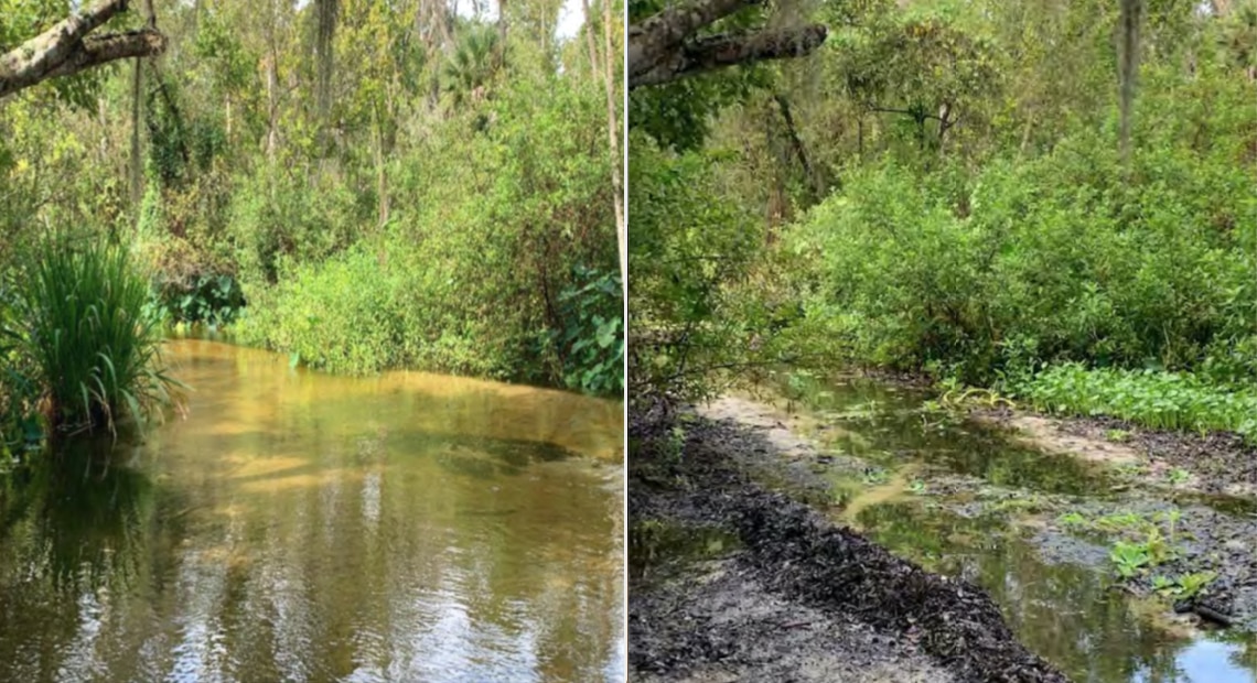 Little Wekiva River before and after.