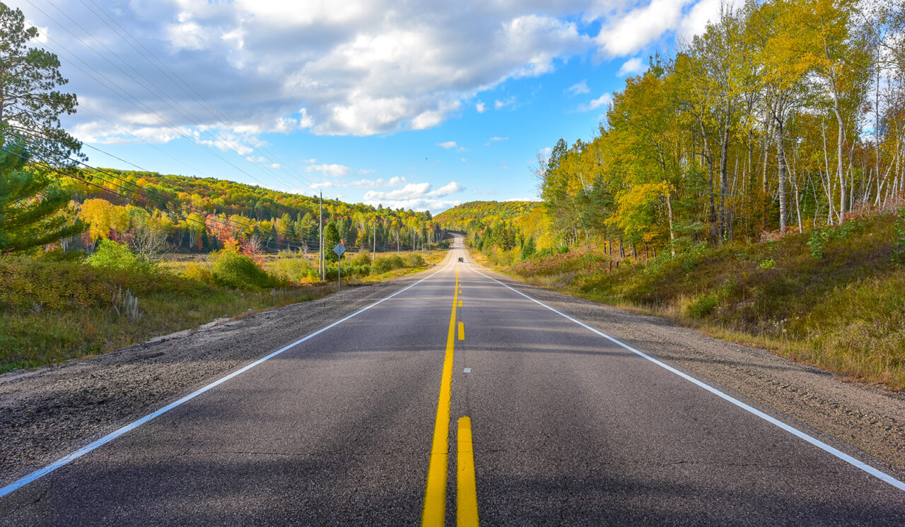 Sunny road to anywhere, single point perspective down a country