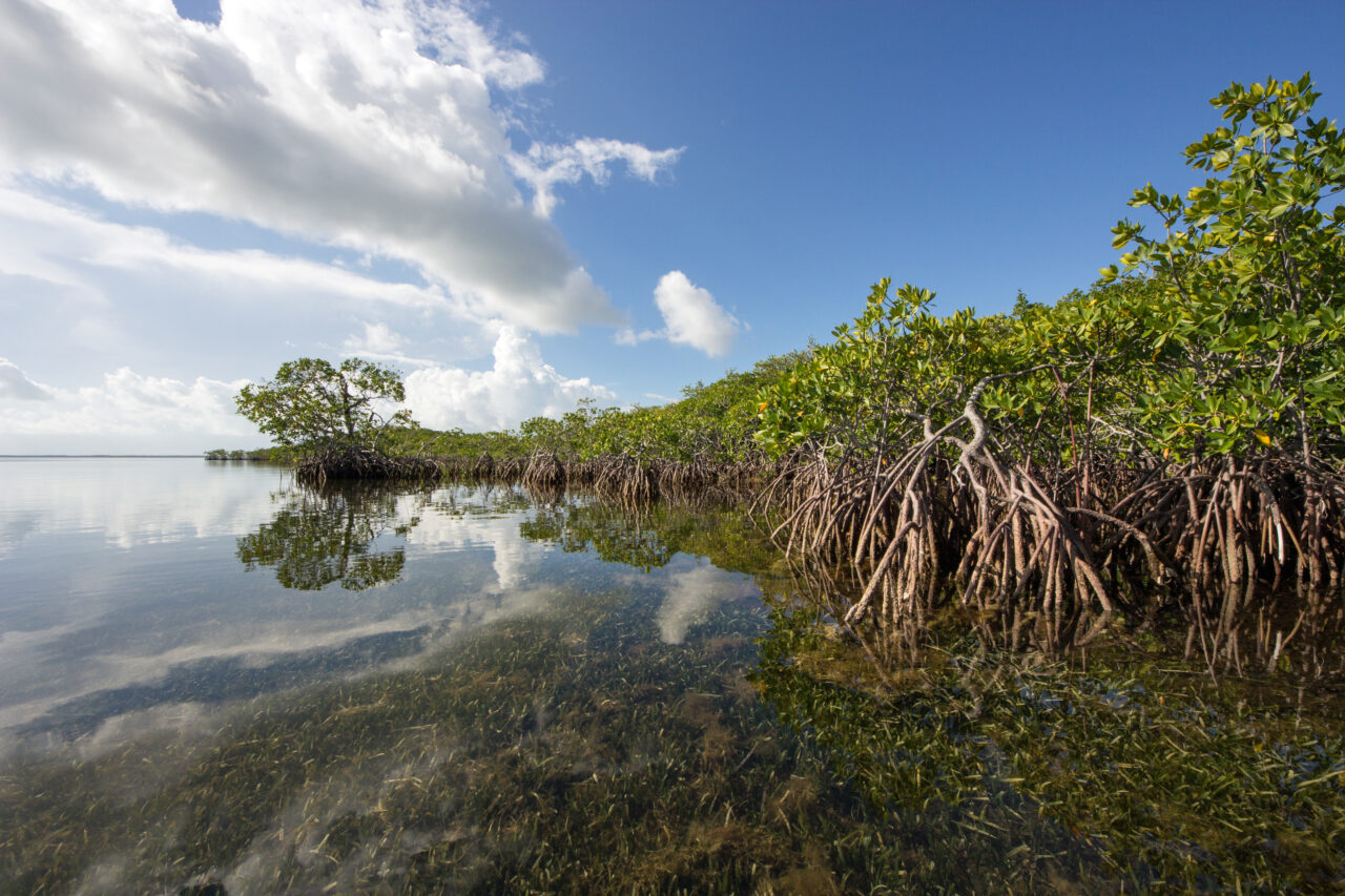 Biscayne Bay