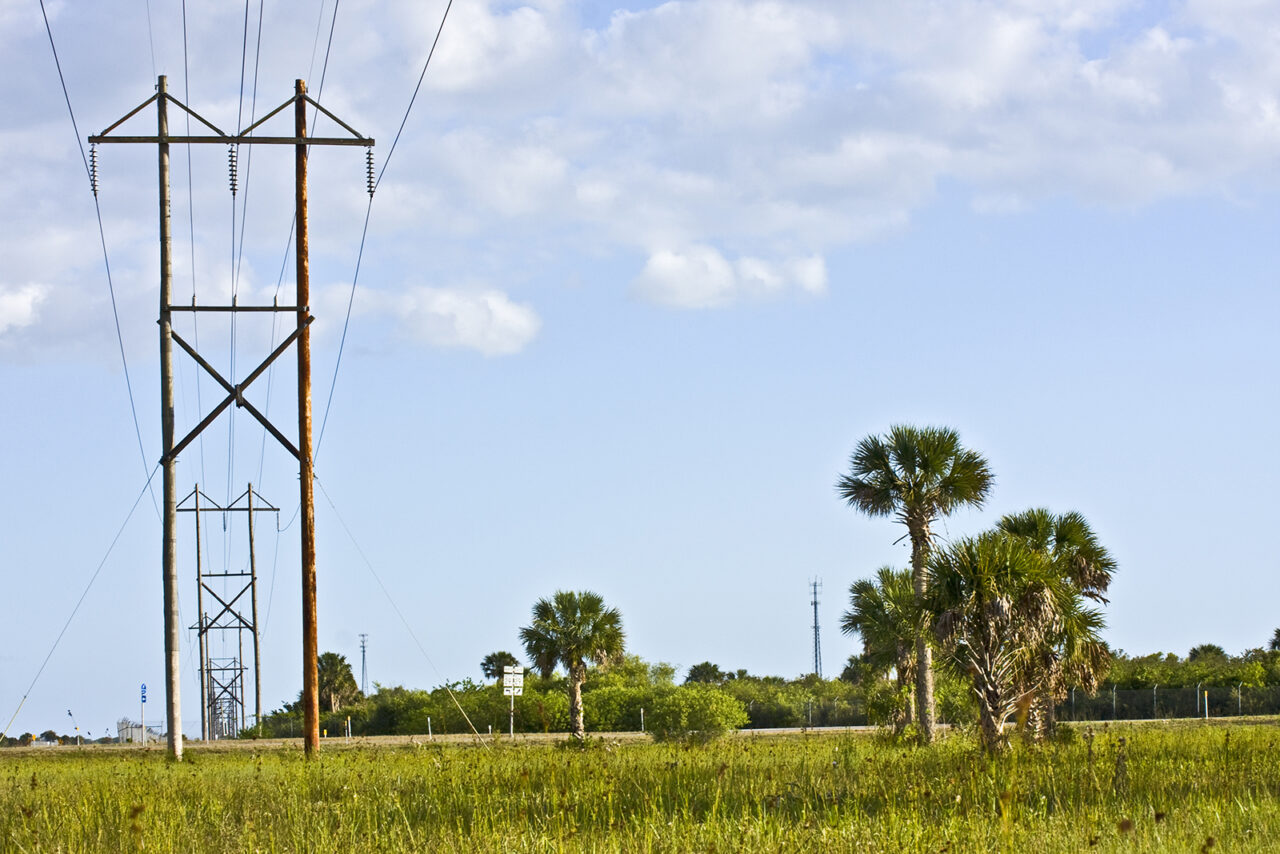 electric power wires in the Everglades florida