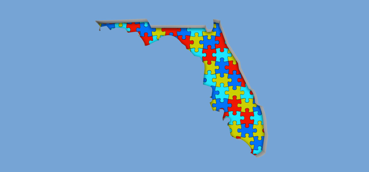 Florida FL Puzzle Pieces Map Working Together 3d Illustration