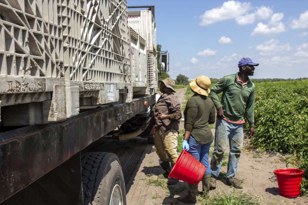 farmworkers