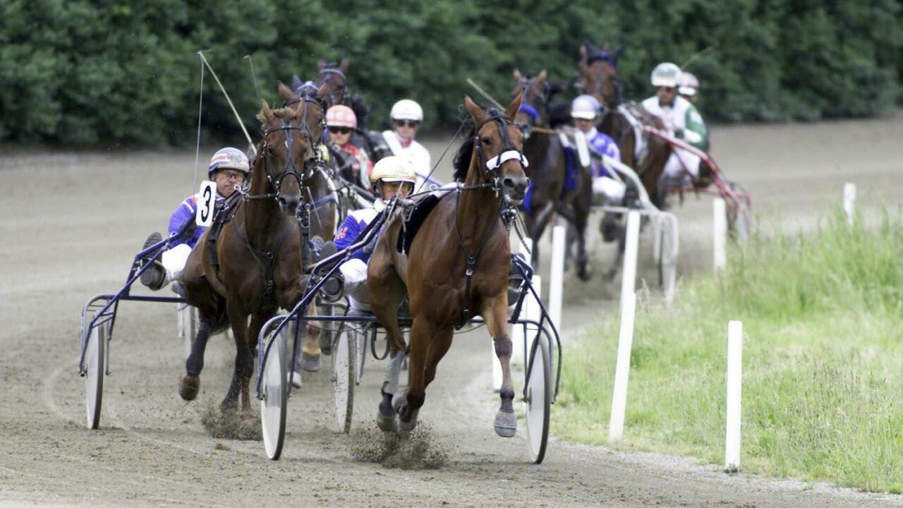 standardbred-1280x720.jpg