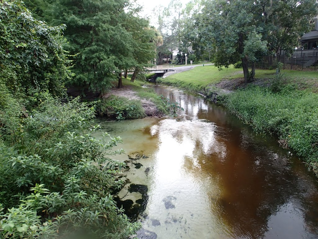 Little-Wekiva-River