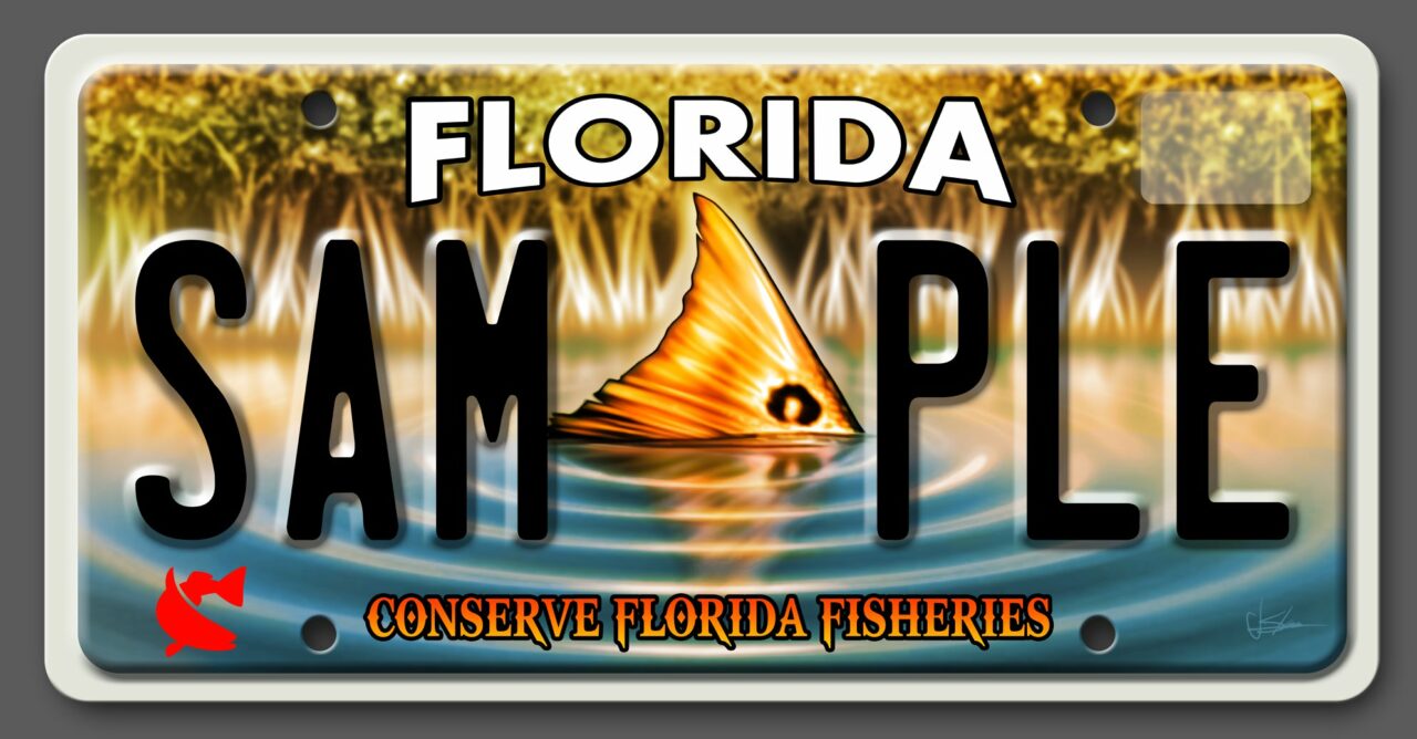 florida specialty license