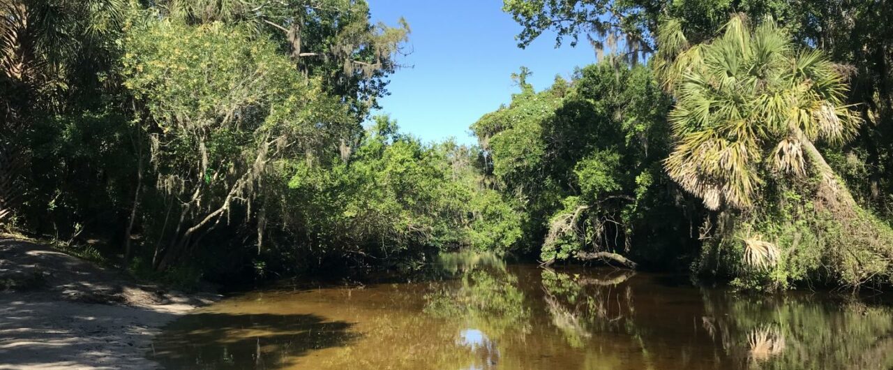 Little Manatee River