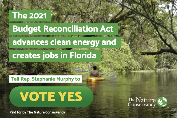 21 TNC Budget Reconciliation Act Sunburn