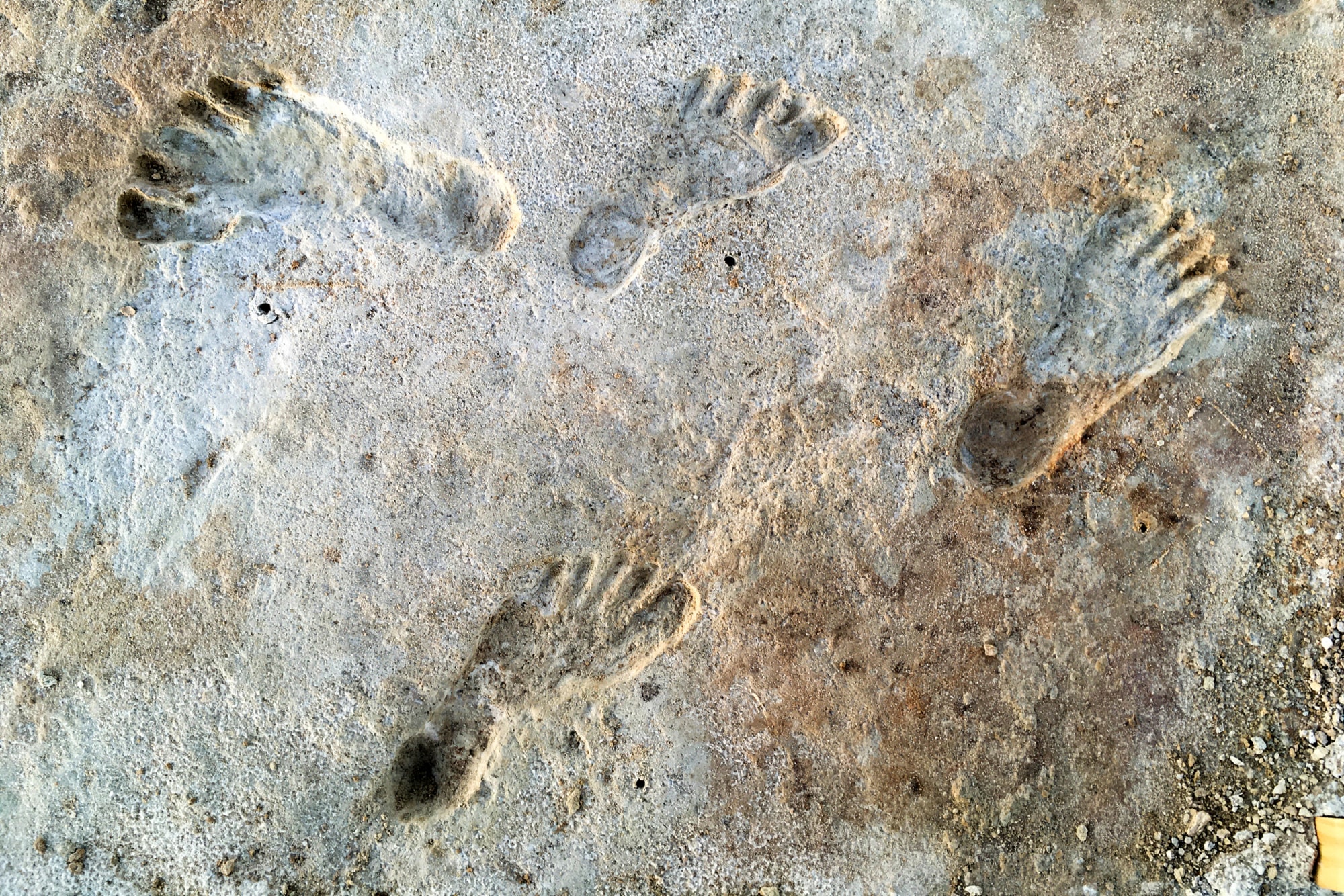 210922 ancient footprints jm 1411 fa0dd5