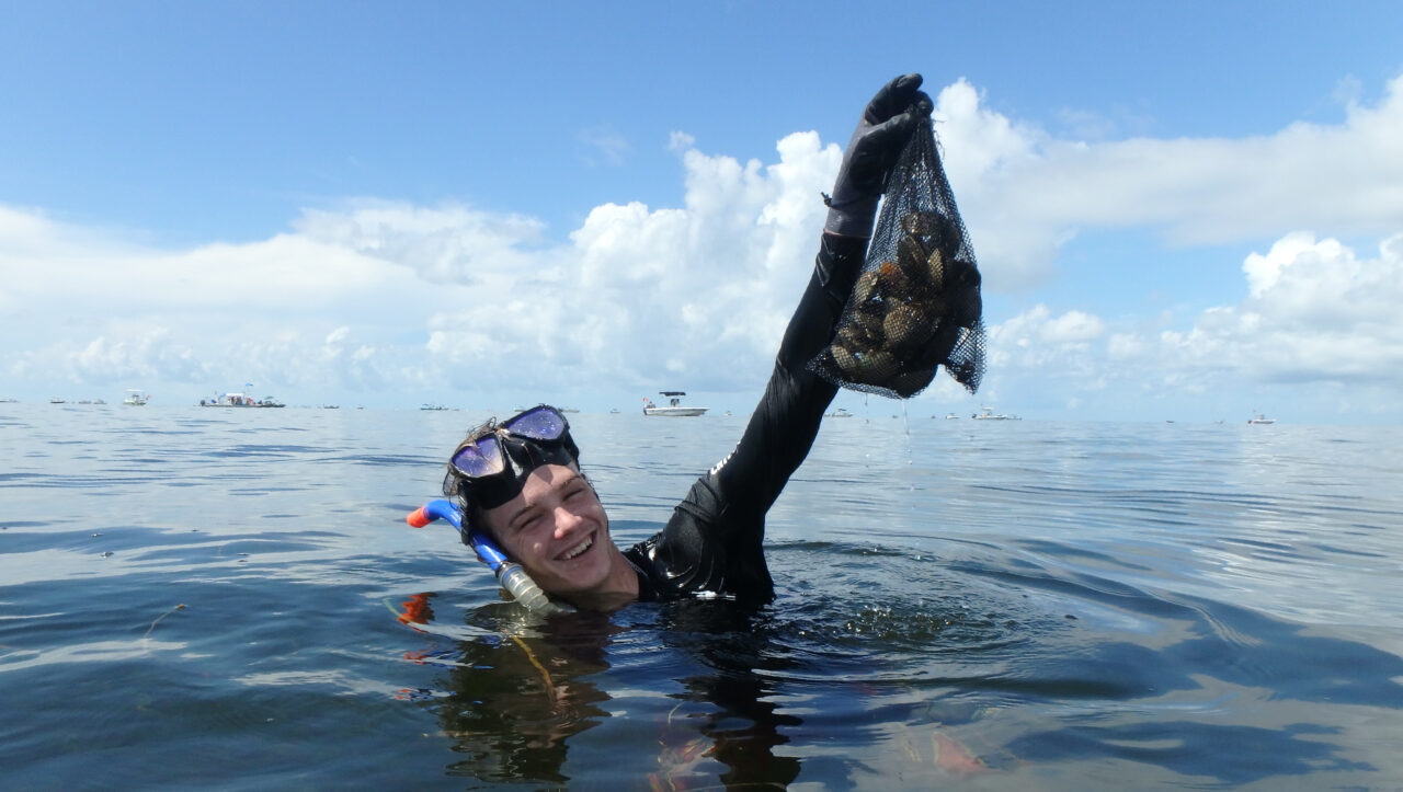 Scalloping