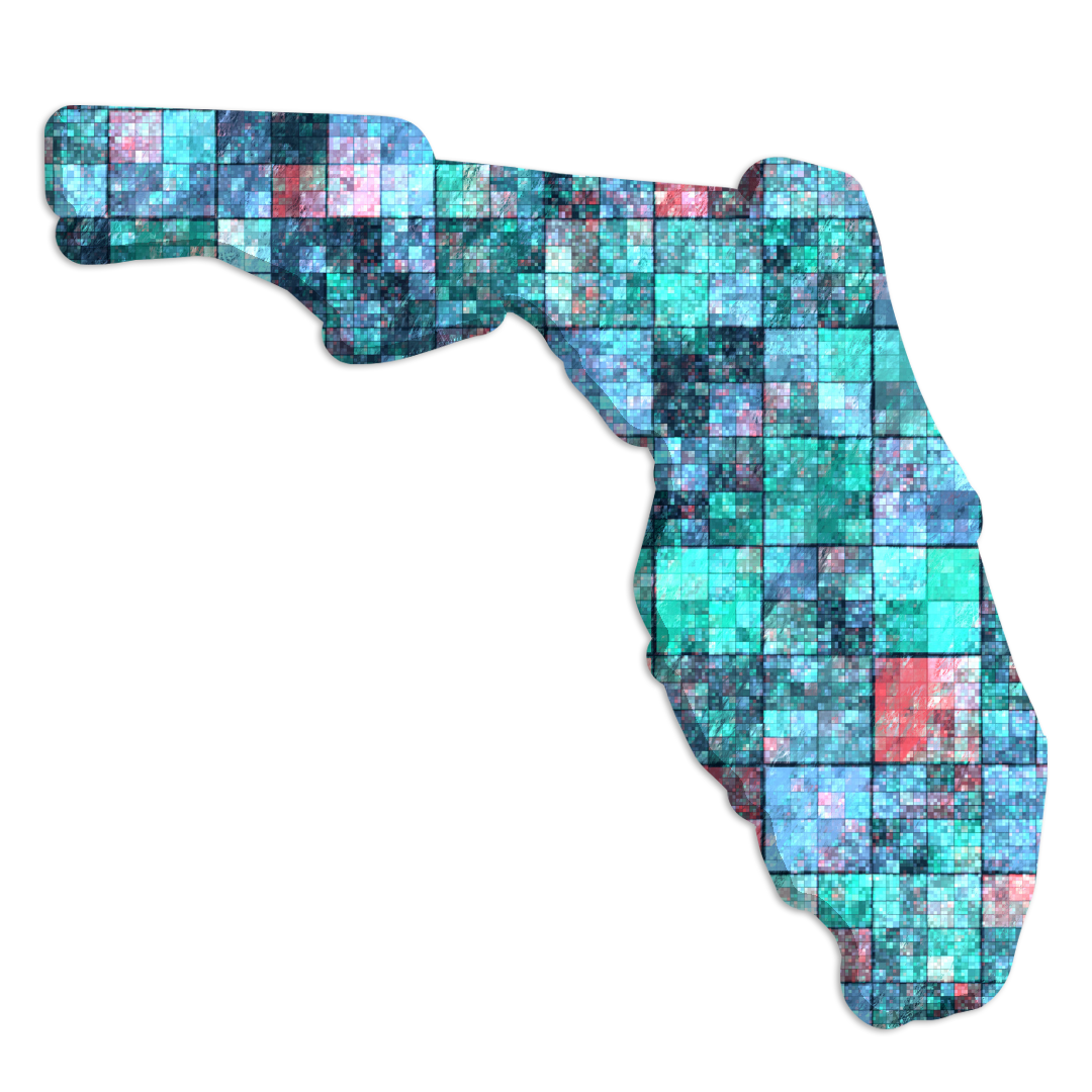 FLORDIA-REDISTRICTING-10.png