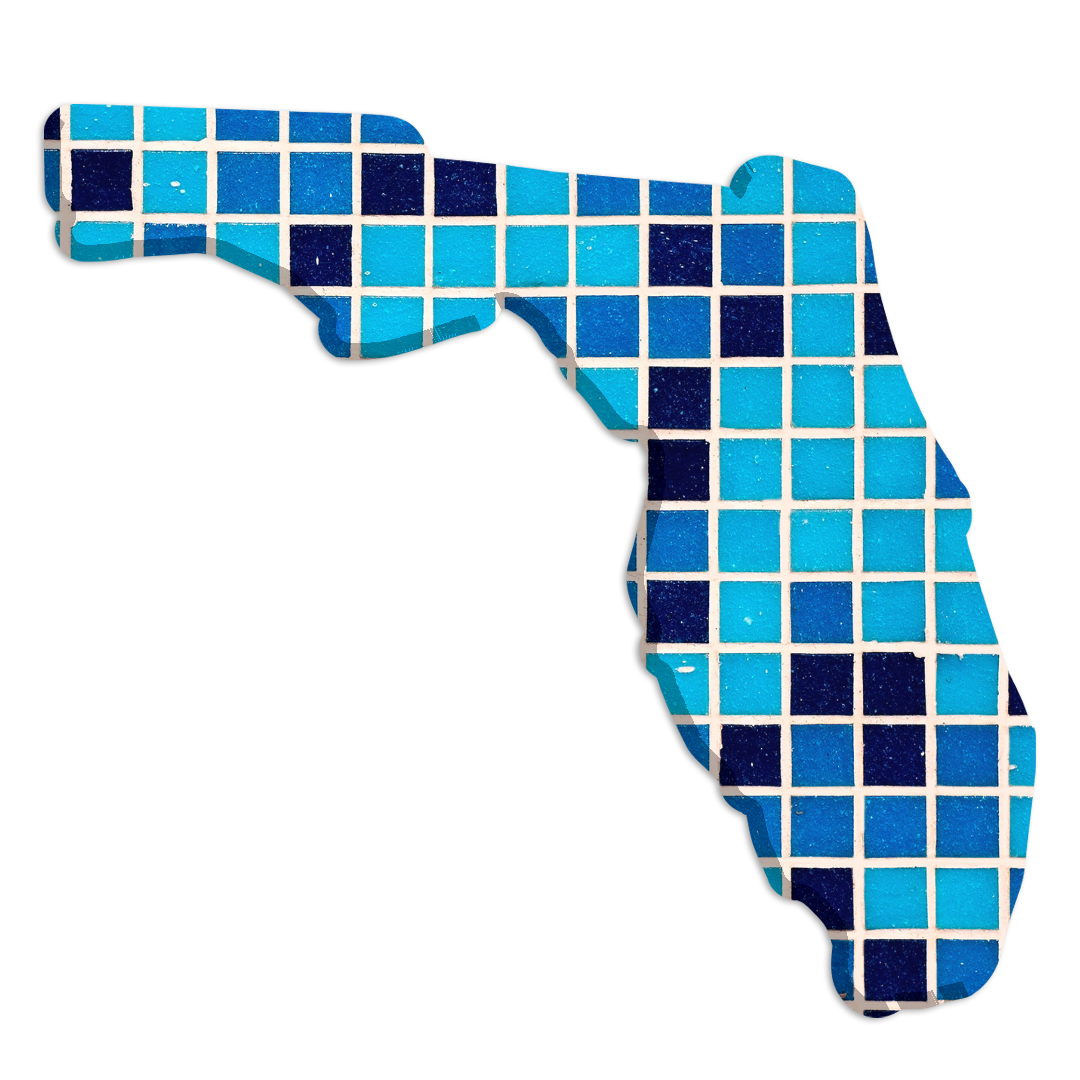 FLORDIA REDISTRICTING (3)