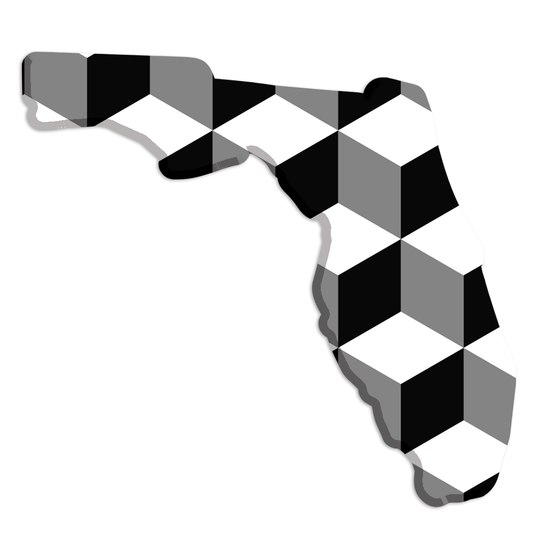 FLORDIA REDISTRICTING (5)