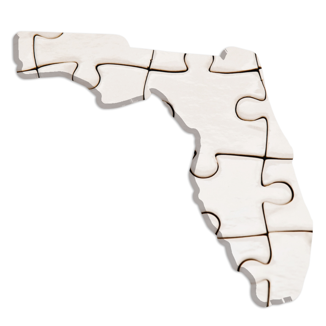 FLORDIA REDISTRICTING (6)