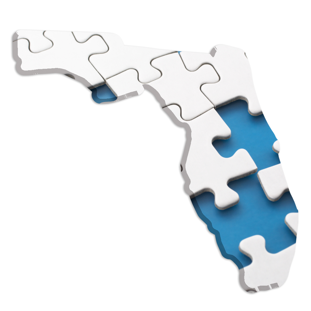 FLORDIA-REDISTRICTING-7.png