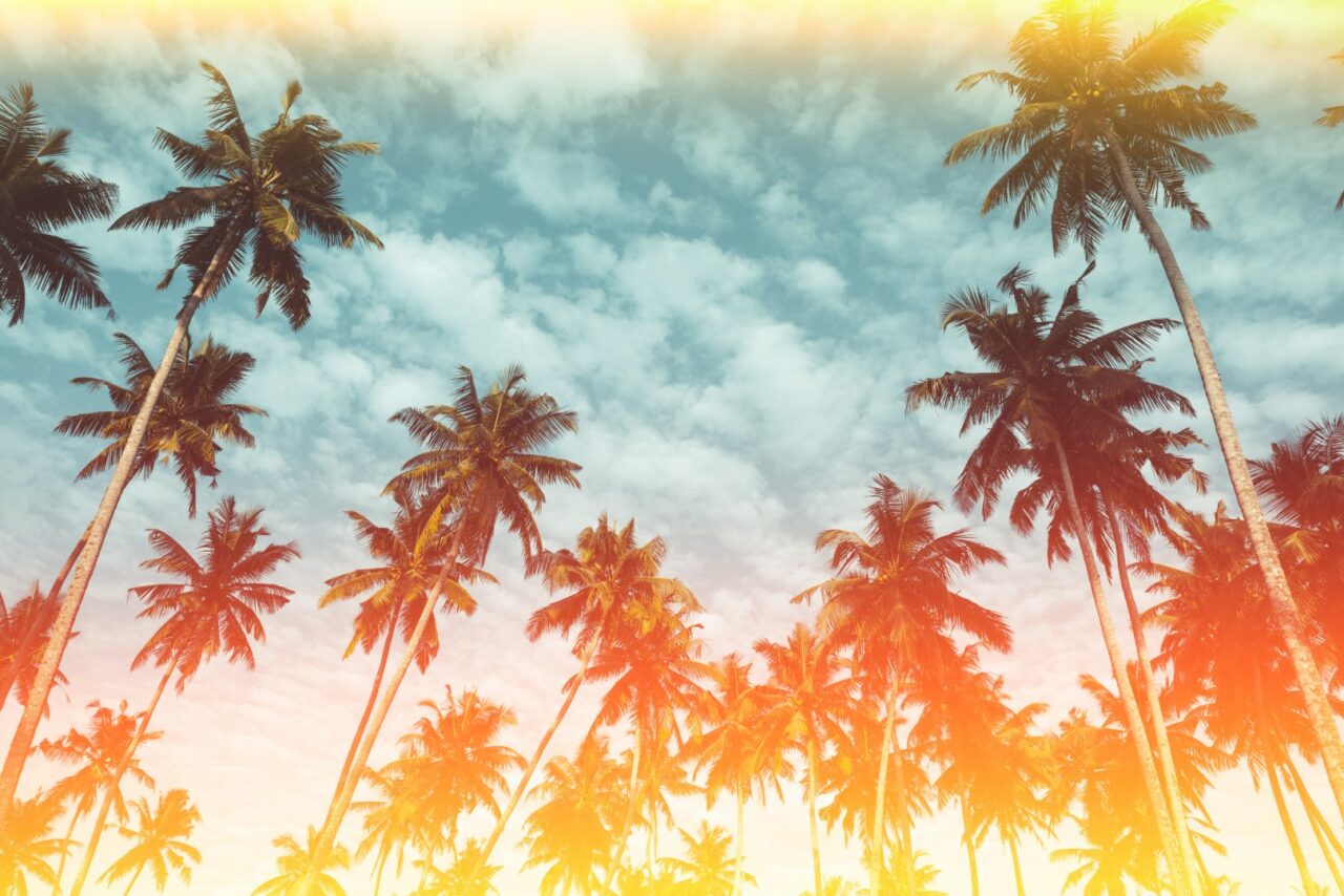 Coconut palm trees on tropical beach vintage nostalgic film colo