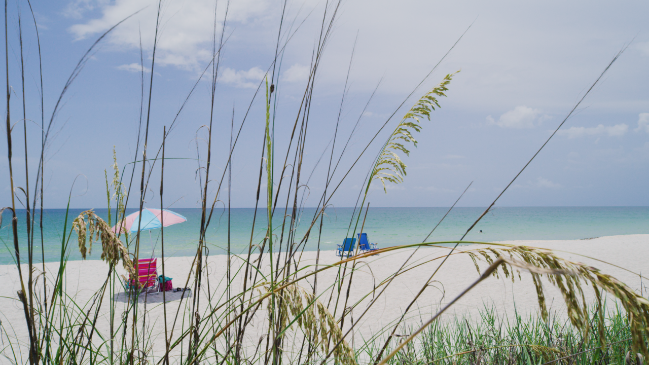 Boca Grande - Beach through Flora - 2020 (Spark)